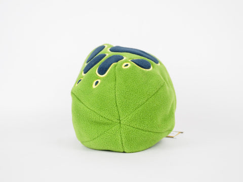 New Jack Wolfskin Kids Front Paw Hat 19424 Green Warm Hat Beanie